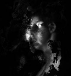 Untitled #3191, 1990