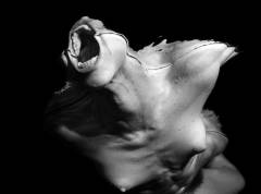 Untitled #5978, 1994