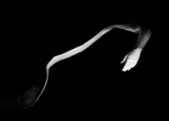 Untitled #11159, 2005